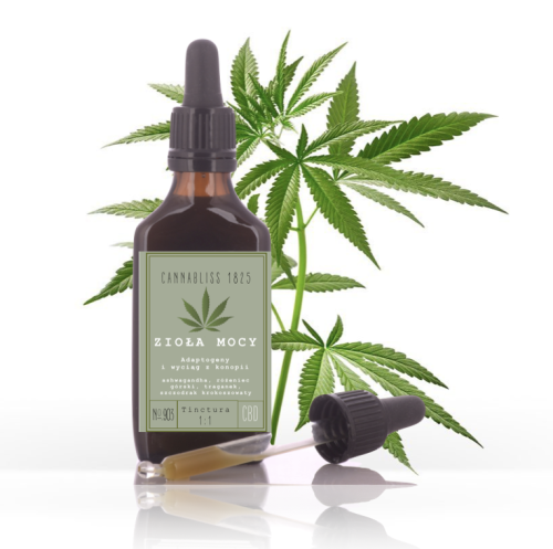 Zrzut ekranu 2022-02-1 o 14.35.06.png