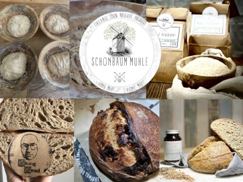 Grafiki i teksty do sklep warsztat chleba.002.jpeg