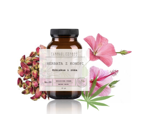 Zrzut ekranu 2023-08-22 o 15.33.59.png