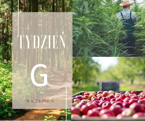 Tydzień G.jpg