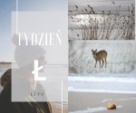 Tydzień "Ł" Vitrus Luty