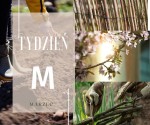 Tydzień "M" Vitrus Marzec