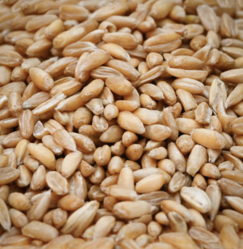 Zrzut ekranu 2025-12-9 o 13.01.34.png