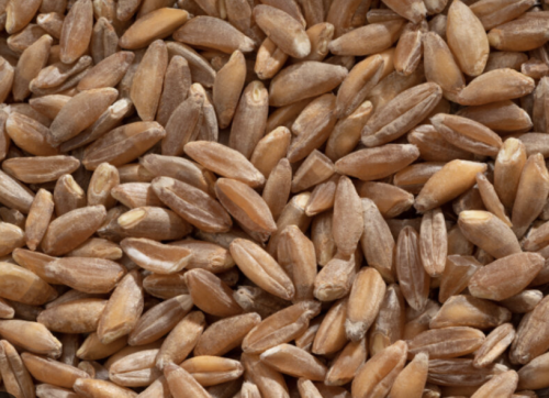 Zrzut ekranu 2025-12-9 o 13.05.16.png