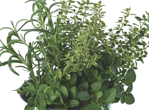 Zrzut ekranu 2025-12-9 o 13.57.32.png