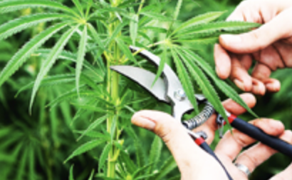 Zrzut ekranu 2025-12-9 o 14.37.43.png