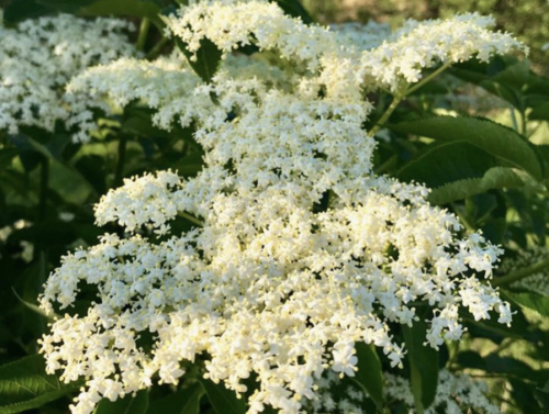 Zrzut ekranu 2025-12-9 o 14.55.48.png