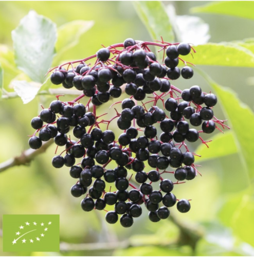 Zrzut ekranu 2025-12-9 o 15.11.21.png